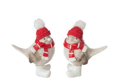 Wintervogel met Muts & Sjaal J-Line – 2 maten