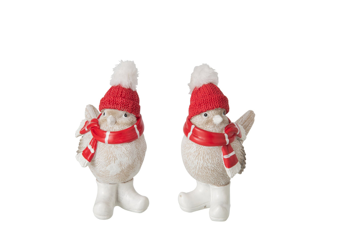 Wintervogel met Muts & Sjaal J-Line – 2 maten