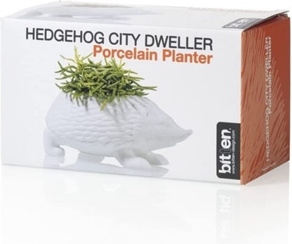 Bloempot Egel – Wit Porselein – 17 cm