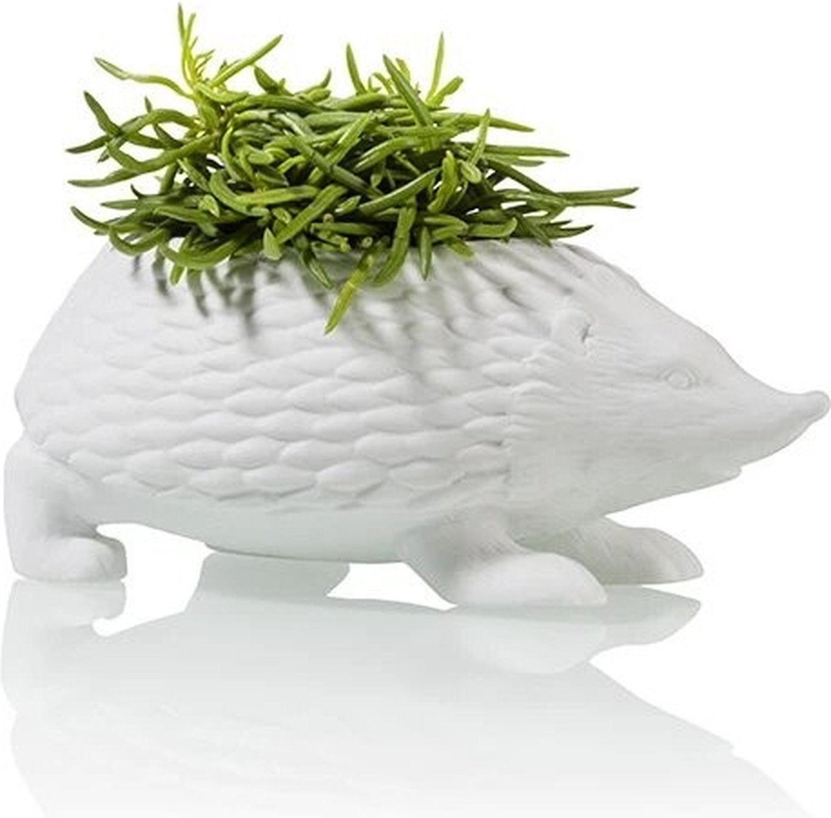Witte porseleinen bloempot in de vorm van een egel – 17x10x7 cm – exclusief plantje
