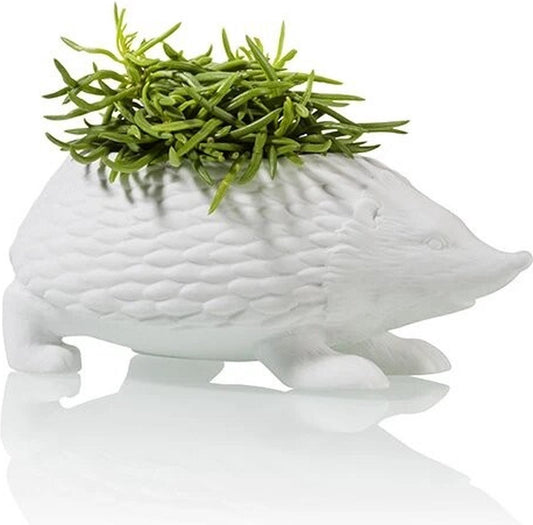 Witte porseleinen bloempot in de vorm van een egel – 17x10x7 cm – exclusief plantje