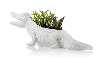 Bloempot Krokodil – Wit Porselein – 34 cm