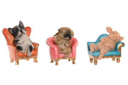 Slapende Dierenbeelden op Fauteuil - Keuze uit 3 Varianten