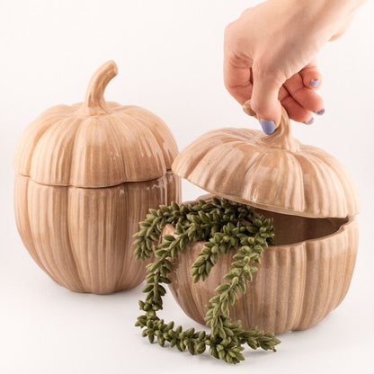 Keramieken Pompoen Voorraadpot Beige – Met Deksel – 15 cm