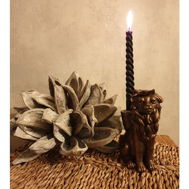 Bronzener Löwen-Kerzenständer – Tierkerzenhalter 15 cm