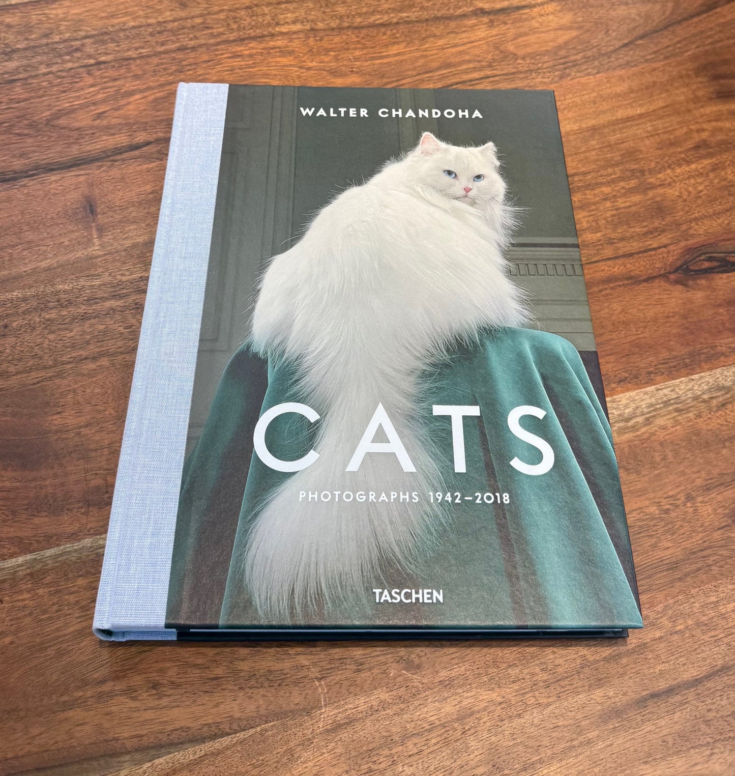 Cats Photobook – Luxury Cat Coffee Table Book (24x32 cm)