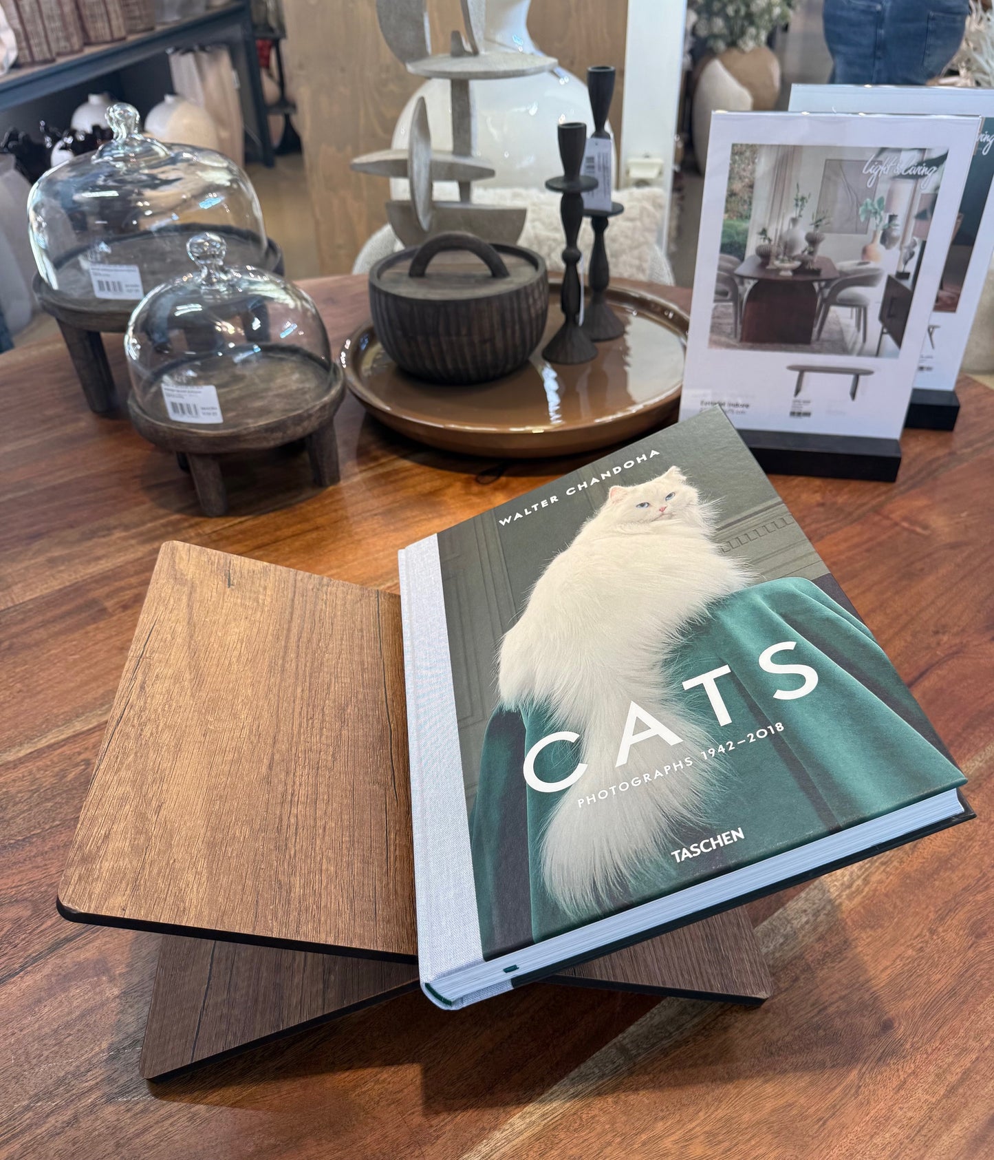Cats Photobook – Luxury Cat Coffee Table Book (24x32 cm)