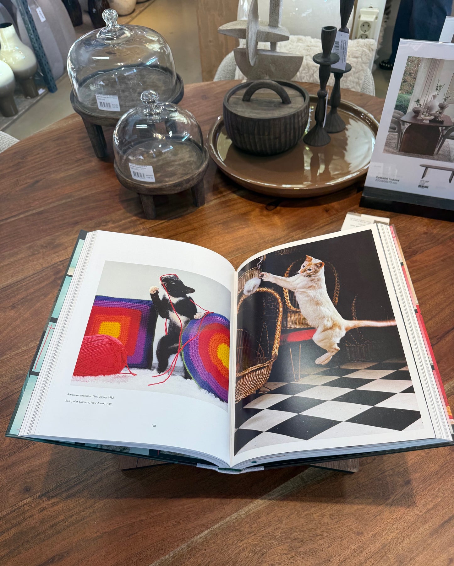 Dogs Photo Book - Luxury Dog Coffee Table Book (24x32 cm)
