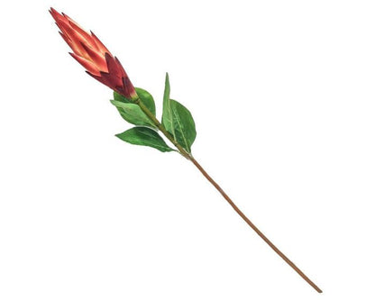 Kunsttak Tropische Protea Rood – 83 cm