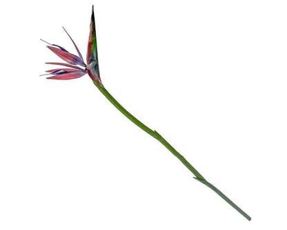 Kunstzweig Paradiesvogel / Strelitzia Rosa-Lila – 74 cm