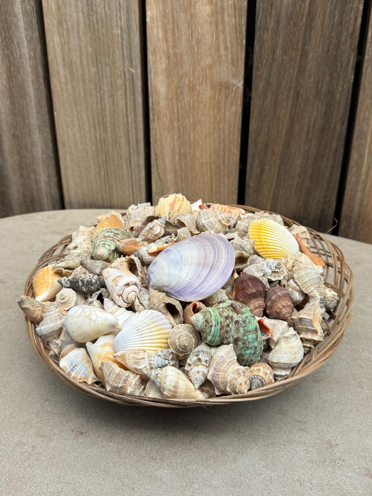 Handgemaakte Piring Schelpenschaal Bali – Natuurlijke Schelpen – 25 cm
