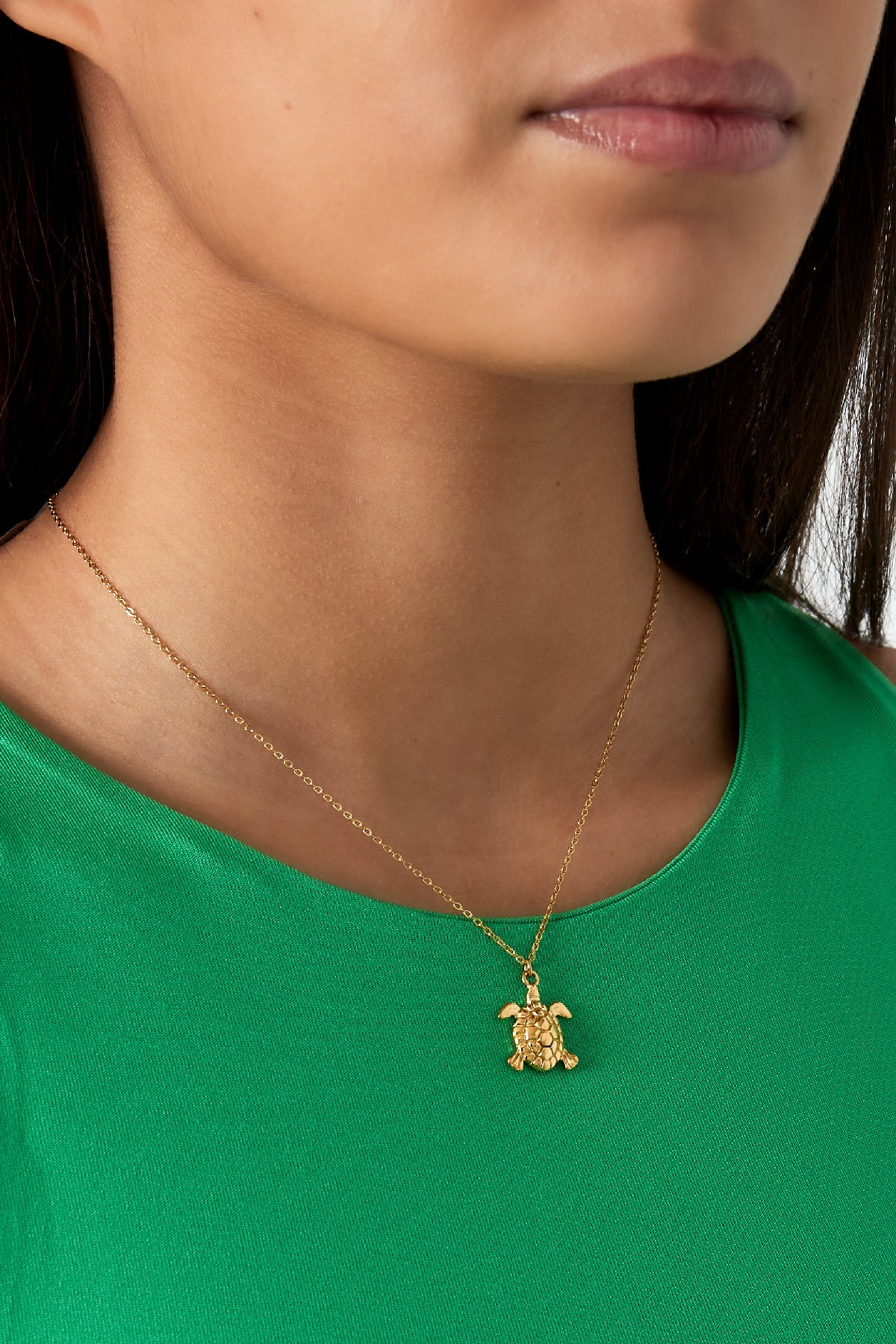 Ocean Guardian Ketting – Goudkleurige Schildpad