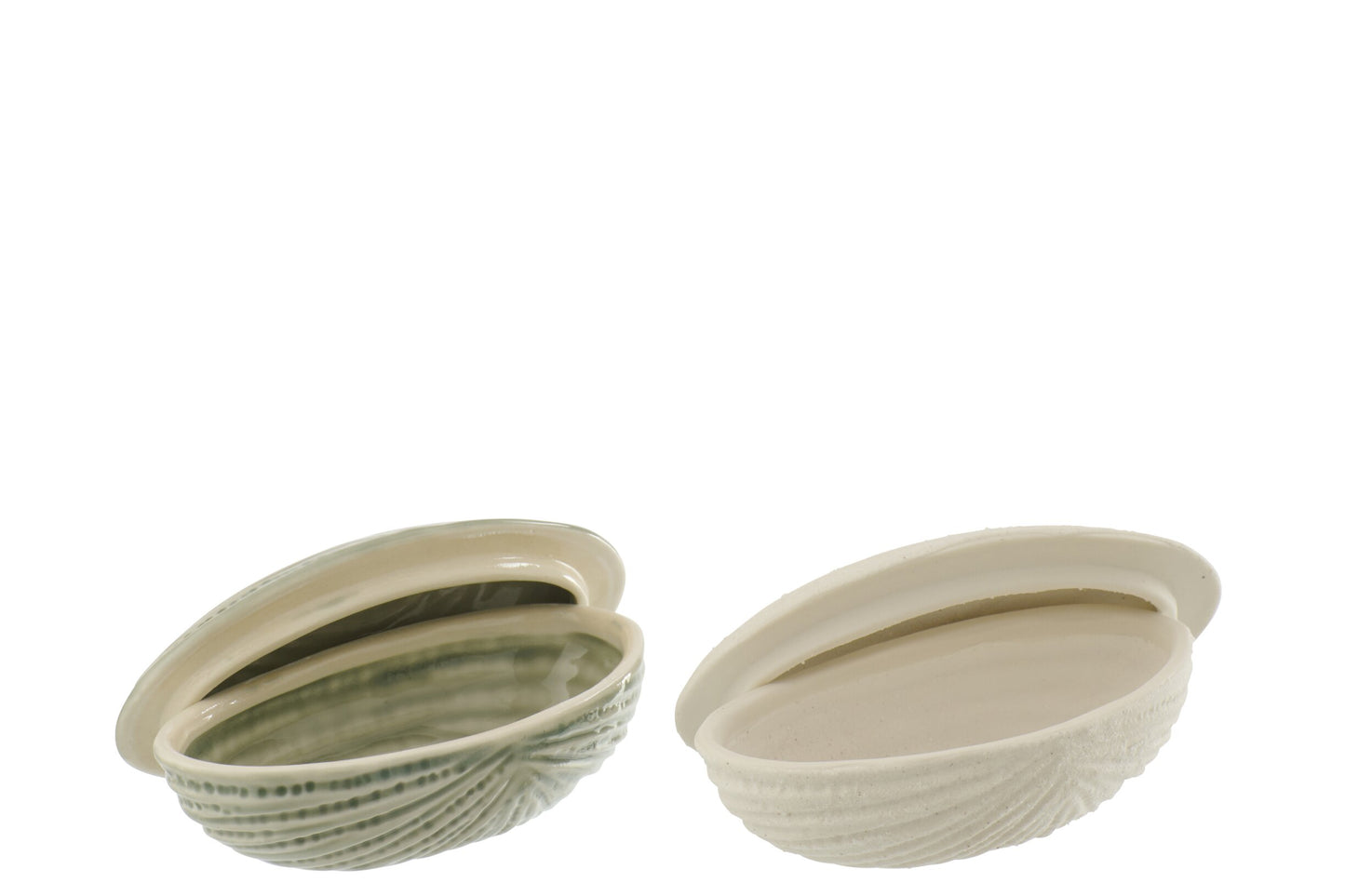 Schelp Opbergdoos Keramiek – Wit of Licht Zeegroen