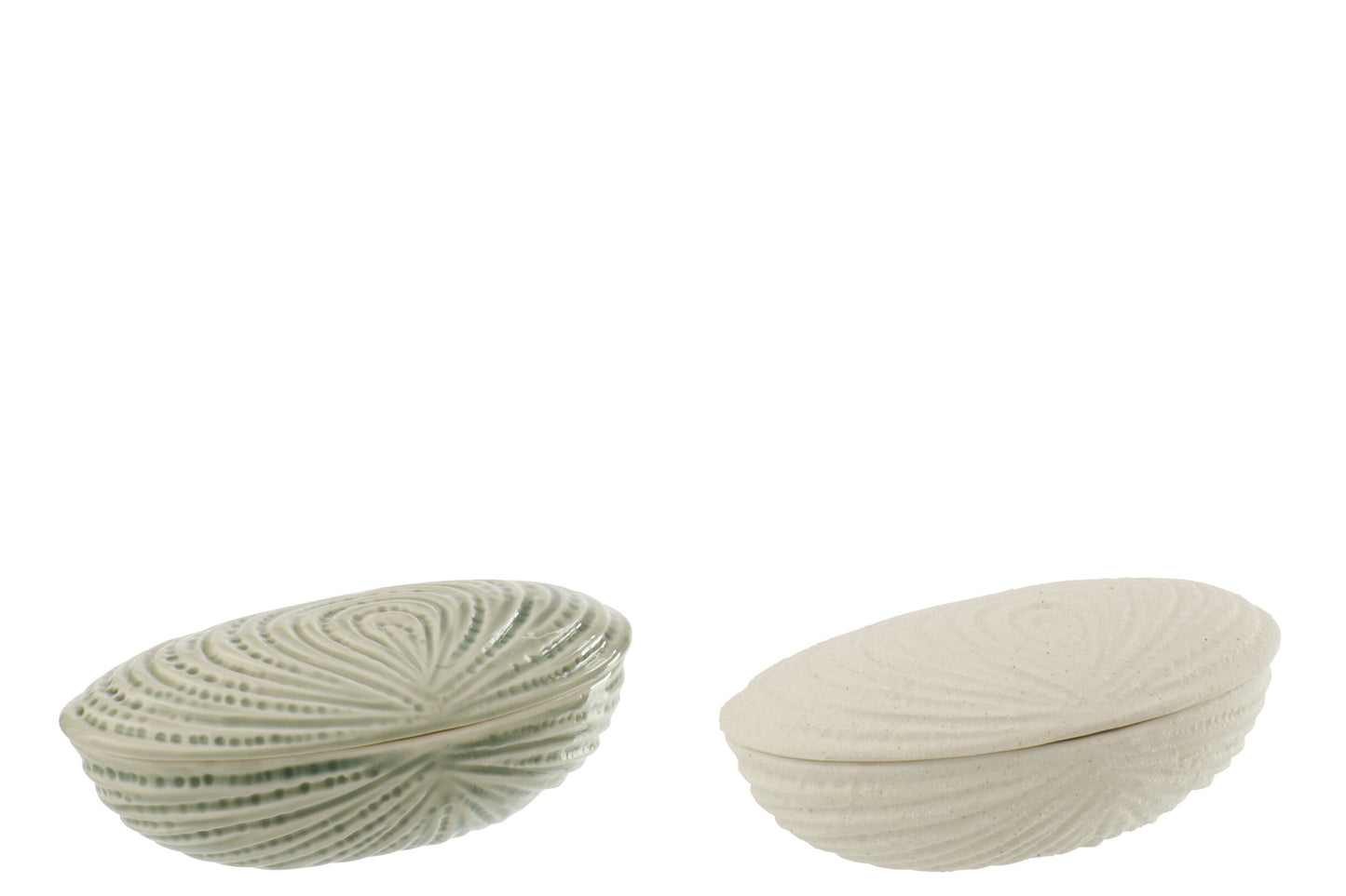 Schelp Opbergdoos Keramiek – Wit of Licht Zeegroen