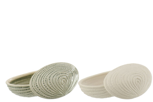 Keramieken schelp opbergdoos van J-Line in mat wit of glanzend licht zeegroen met deksel voor sieraden en kleine accessoires.