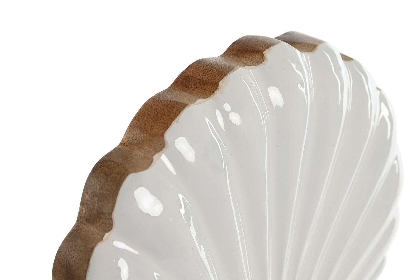 Shell Ornament on Mango Wood Base – 29 cm