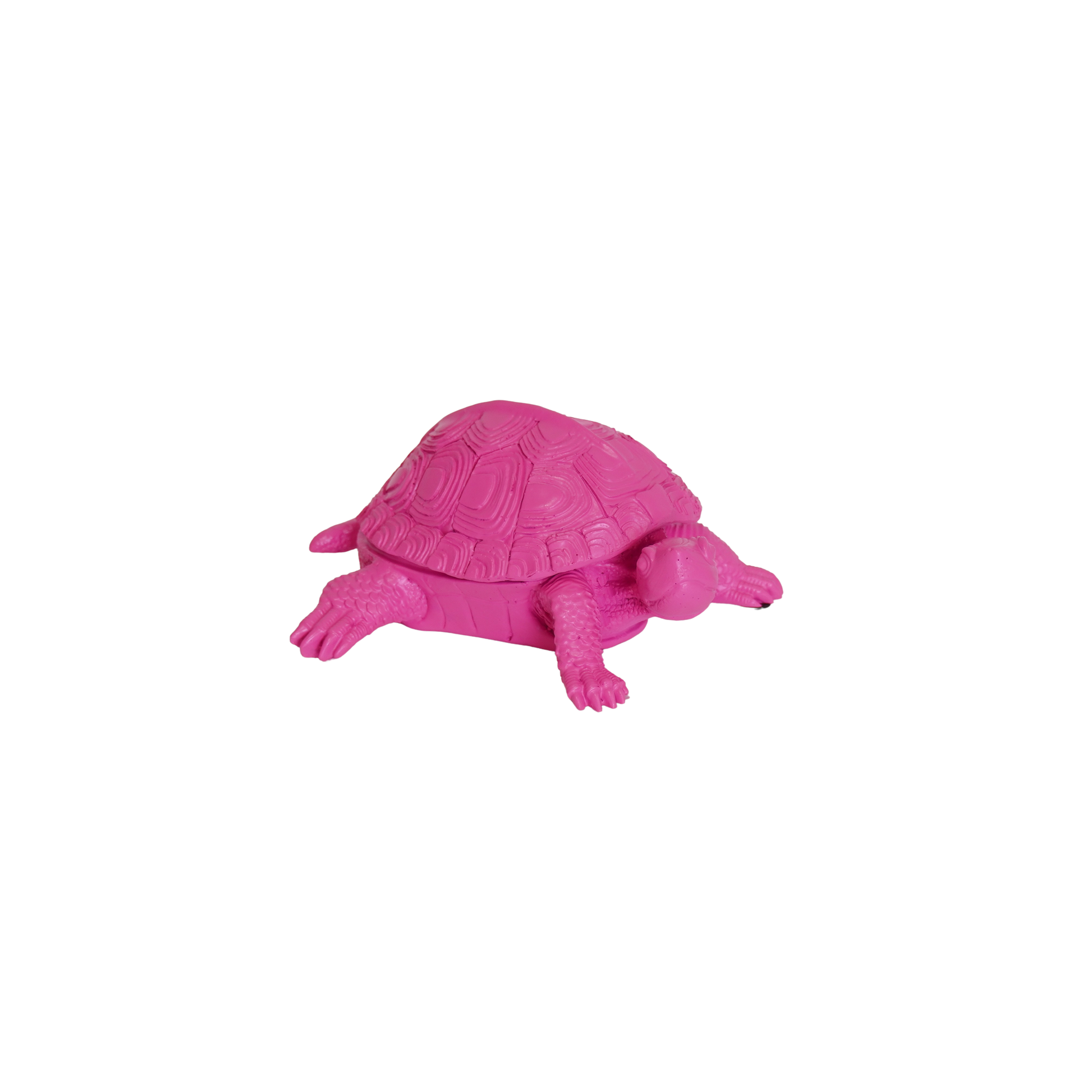 Housevitamin neon roze schildpad van polyresin met verborgen opbergruimte – 15,5 cm – Krokomingo