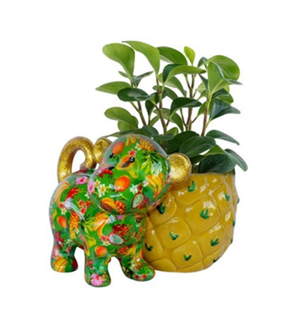 Bloempot Aap met Ananas – (4 varianten)