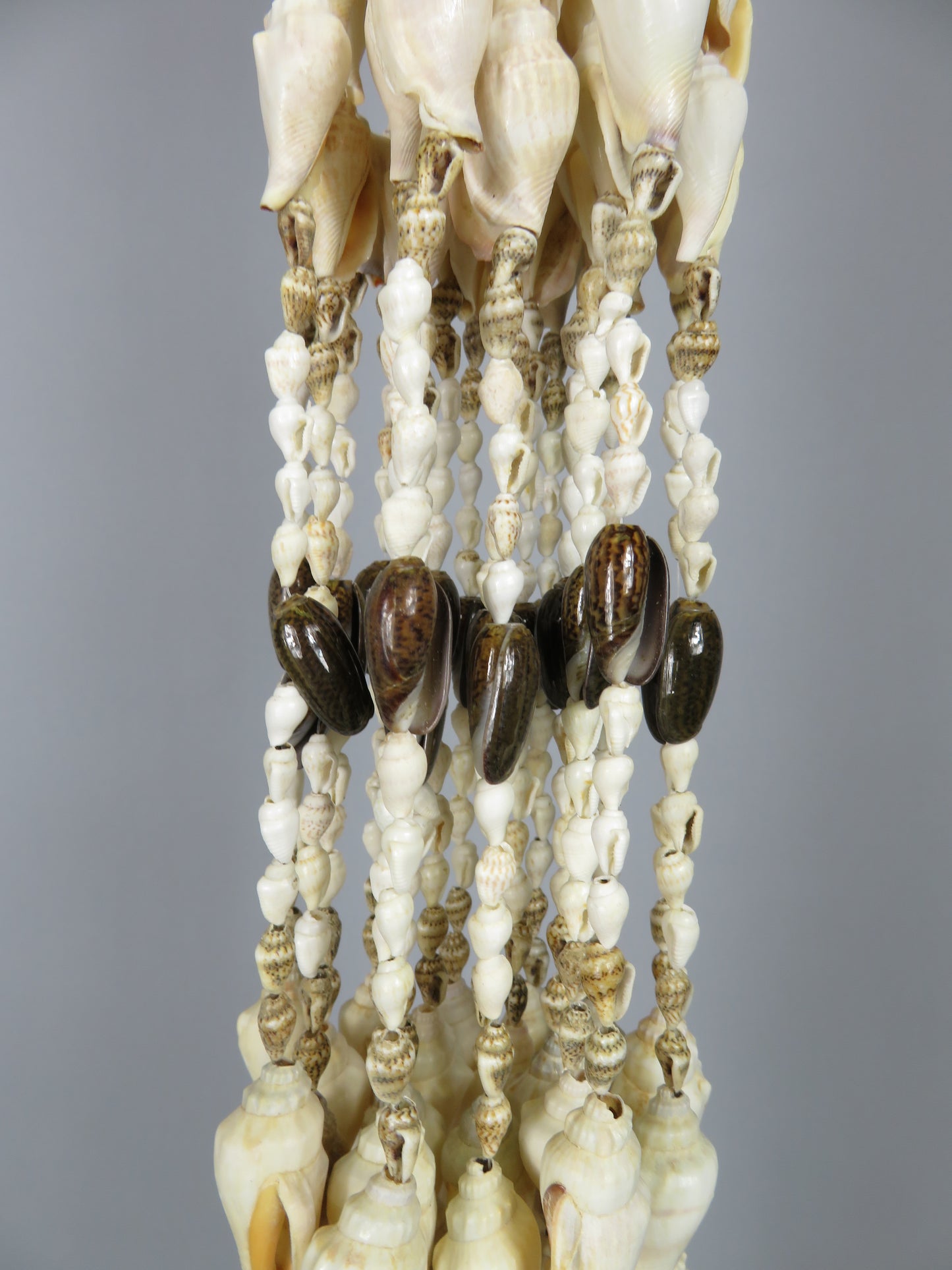 Gordon Gangdon – lange schelpenhanger uit Indonesië – 110 cm