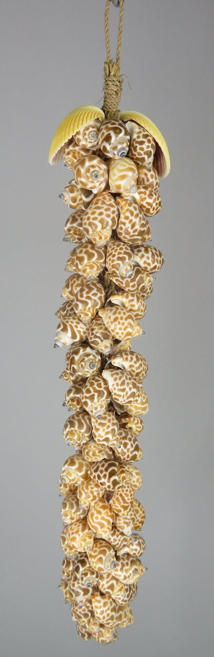 Klonong Macan – schelpenhanger bruin-wit uit Indonesië – 40 cm