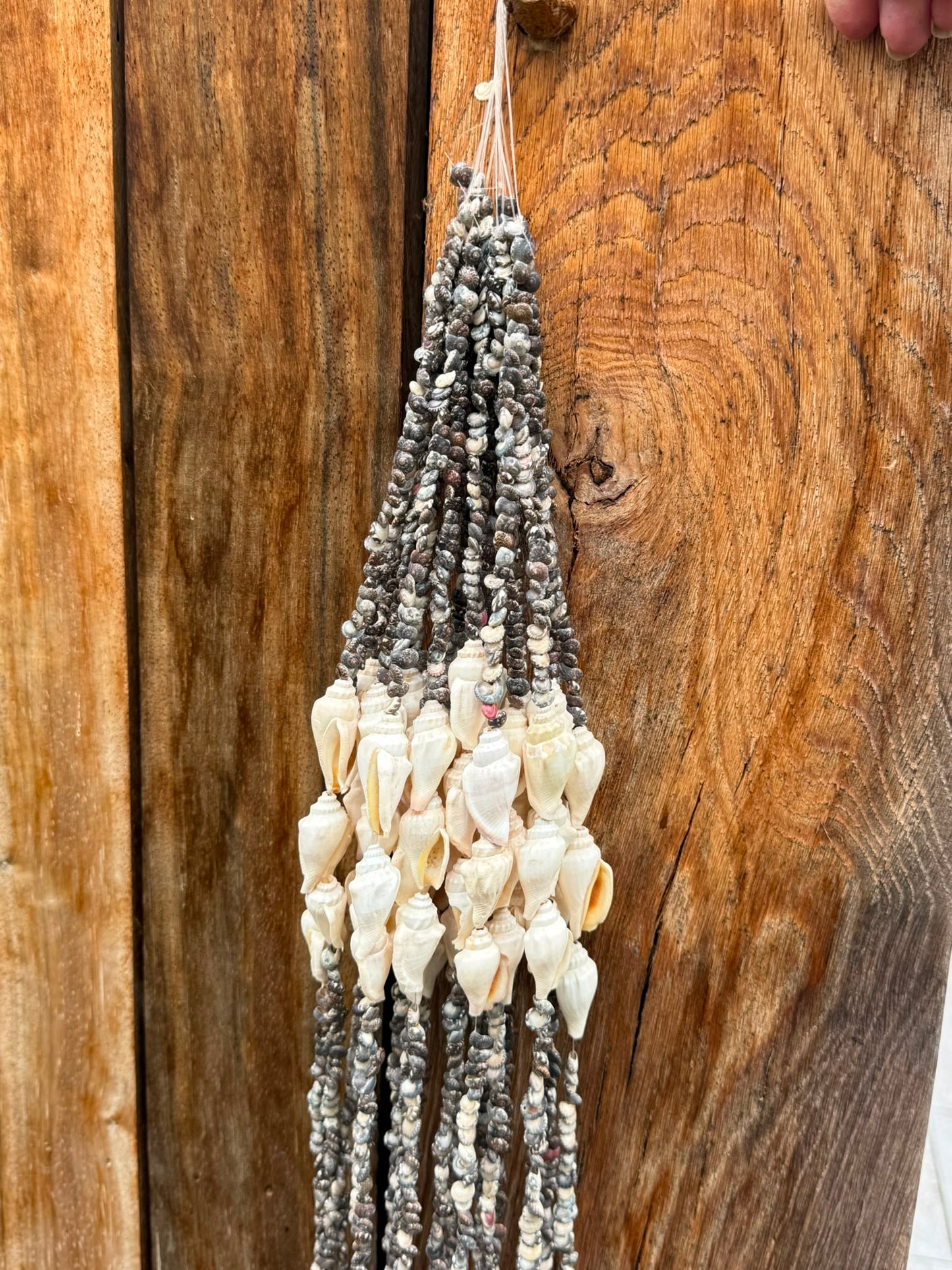 Gordon Brute – lange schelpenhanger uit Indonesië – 110 cm