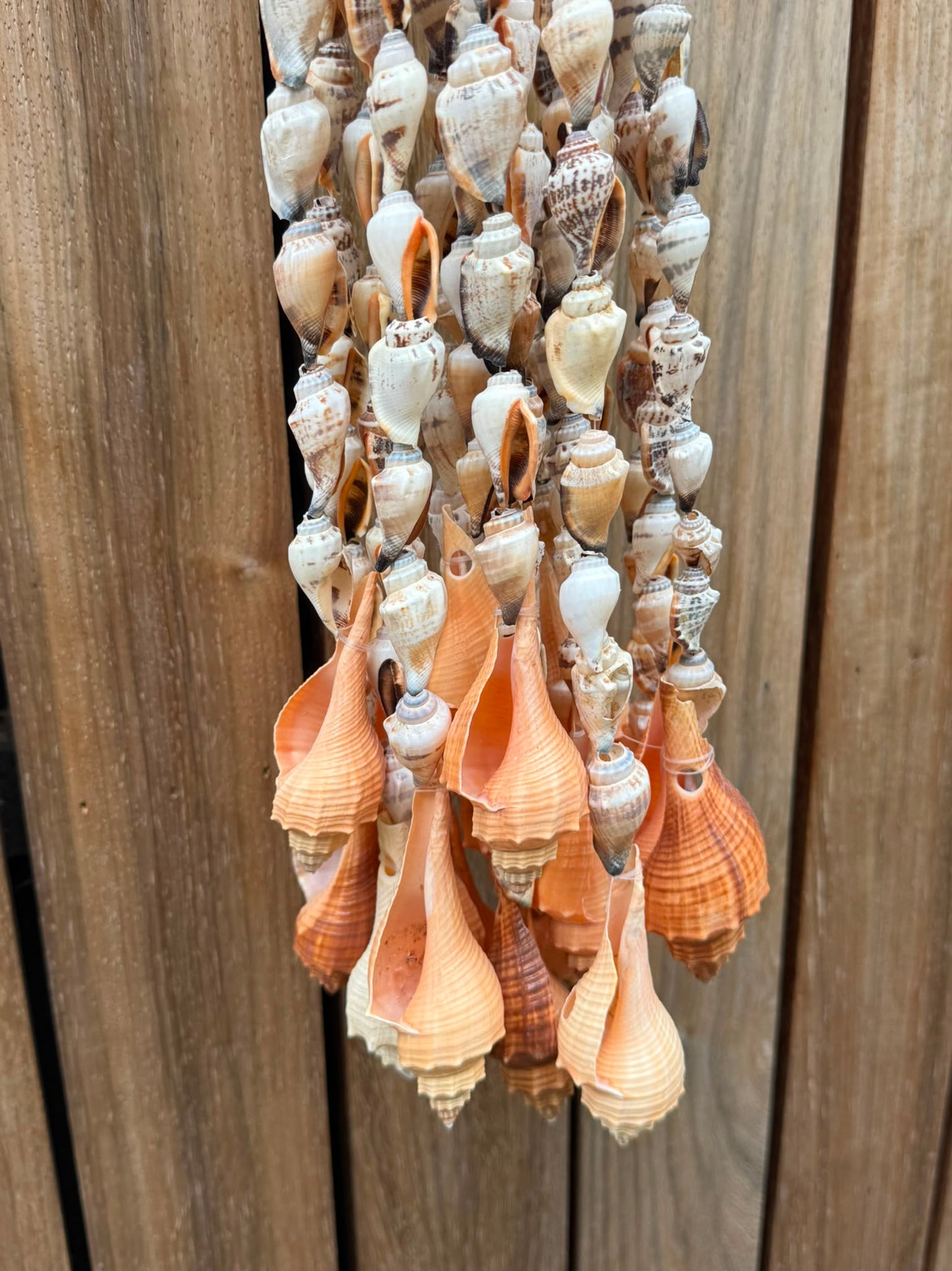 Gordon Percing – lange schelpenhanger uit Indonesië – 120 cm