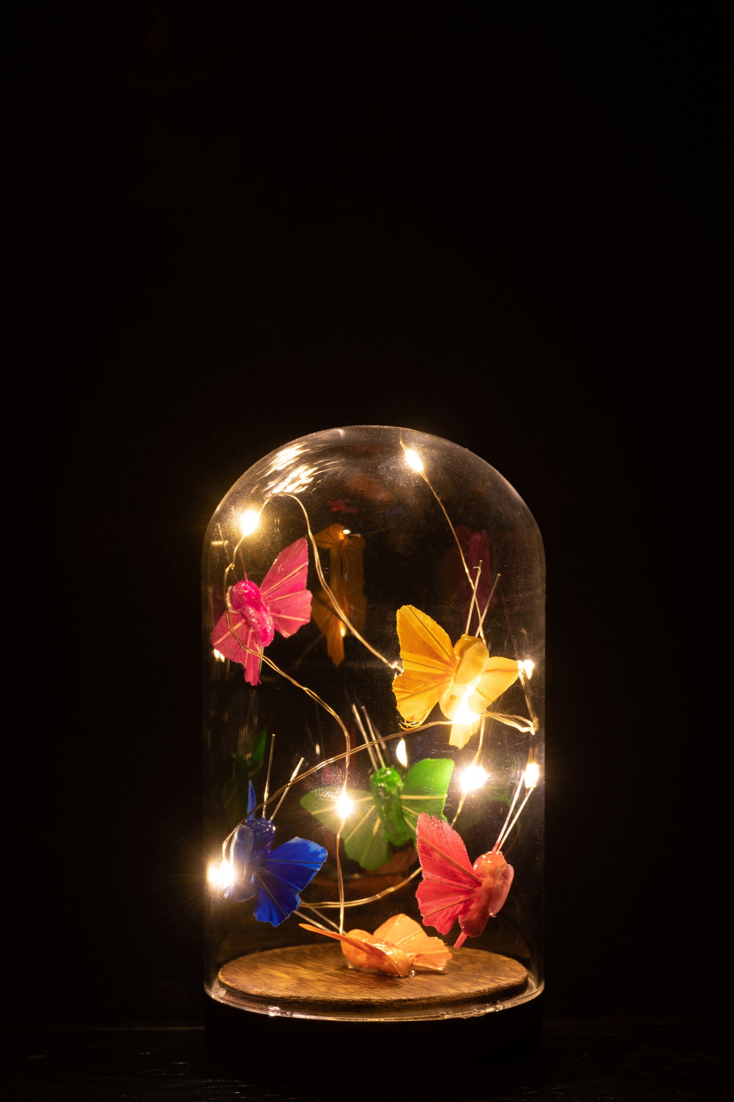 Glasglocke mit Schmetterlingen und LED – Eleganter Stimmungsmacher