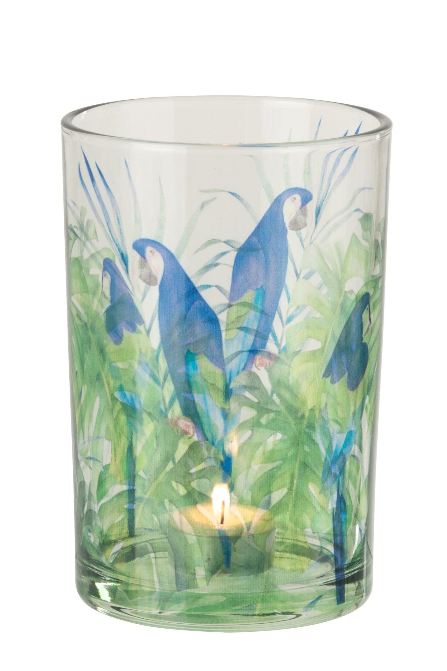 Windlicht Papegaai Glas – 3 Maten Verkrijgbaar