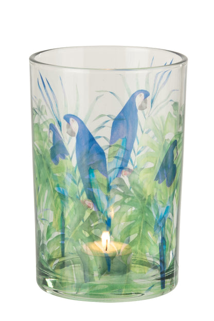 Windlicht Papegaai Glas – 3 Maten Verkrijgbaar