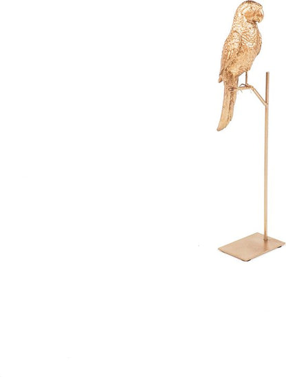 Golden Parrot auf Standard