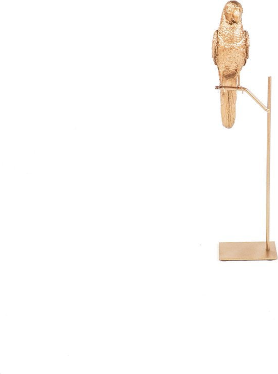 Golden Parrot auf Standard