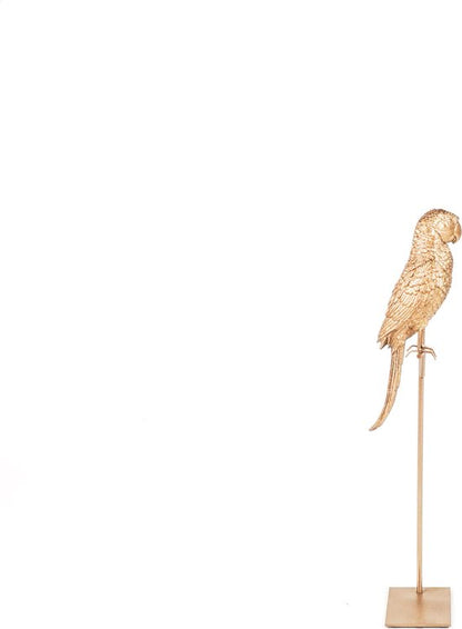 Golden Parrot auf Standard