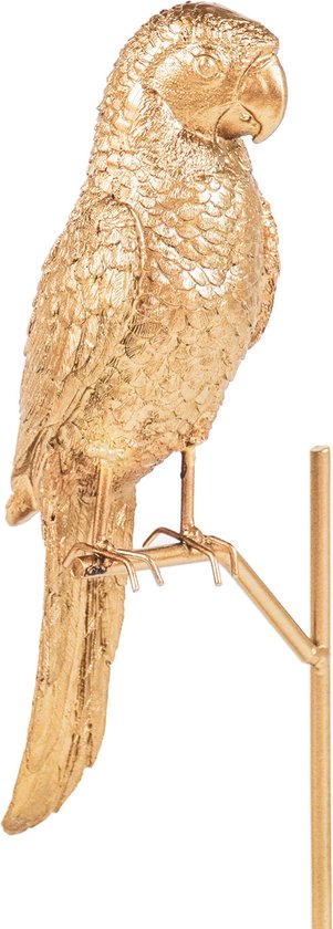Golden Parrot auf Standard
