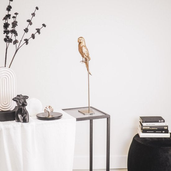 Golden Parrot auf Standard