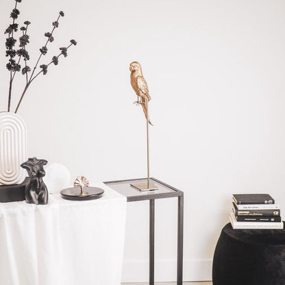 Golden Parrot auf Standard