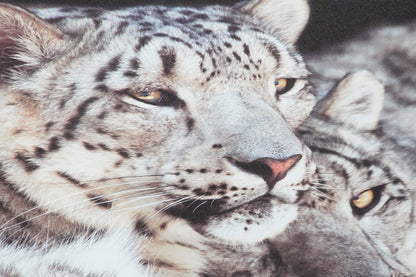 Canvasprint – Tijgers of Luipaarden – 135 x 45 cm – Jungle Chic Wanddecoratie