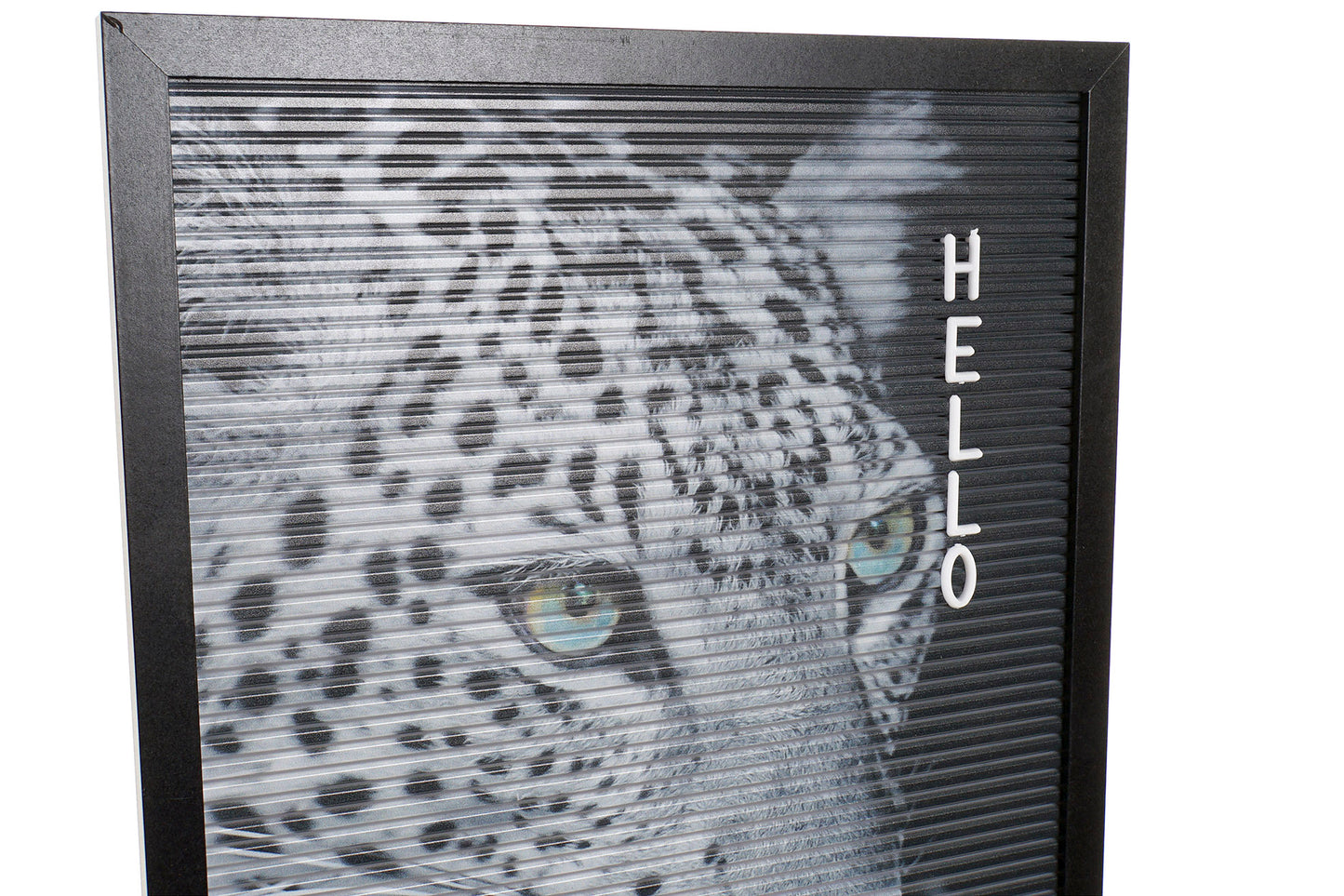 Black Letter Board Leopard Print – 30x45 cm – Includes Letters