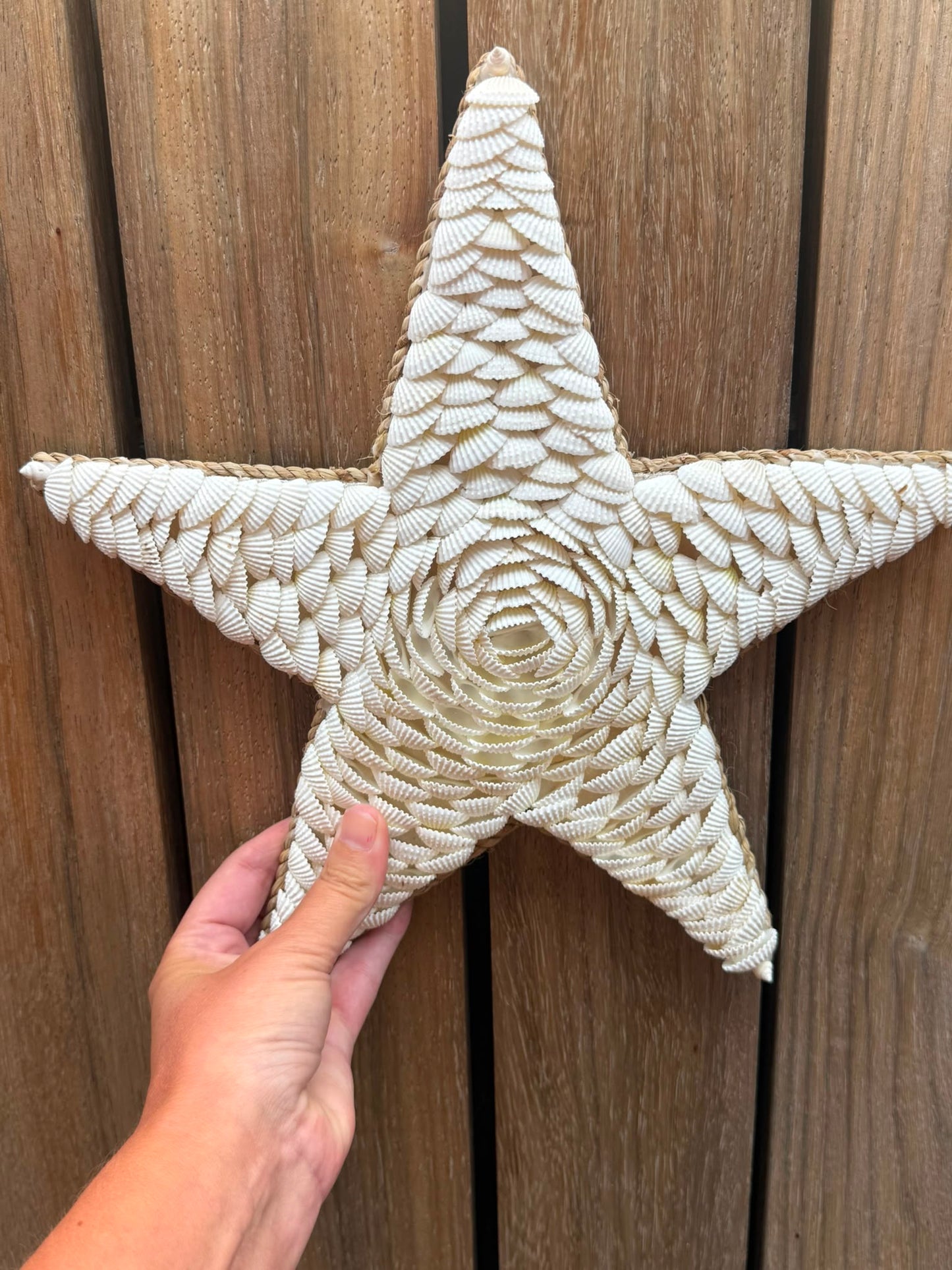 Schelpen zeester wanddecoratie handgemaakt op Bali met naturel rand 30 x 30 cm