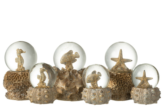 Decoratieve sneeuwbol met oceaanthema – zeepaard, vis of zeester in waterbal
