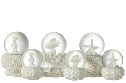 Witte decoratieve sneeuwbol met zeepaard, vis of zeester in oceaanthema