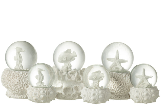Witte decoratieve sneeuwbol met zeepaard, vis of zeester in oceaanthema
